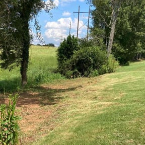 Leaf Removal by It'z Done Home improvement / Landscaping & Snow Removal reviewed on May 13, 2022