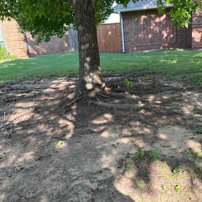 Leaf Removal by Early Bird Lawn Care LLC reviewed on July 5, 2022