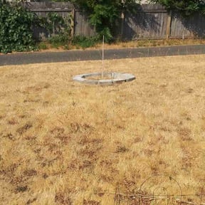 Cleanups by Razo Rigo landscaping reviewed on June 24, 2022