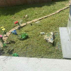 Flower Bed Weeding by YARD M.D. LLC reviewed on January 1, 2025