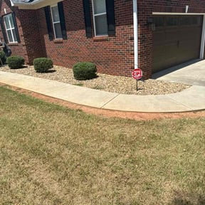 Bush Trimming by Allen Investments reviewed on January 19, 2022