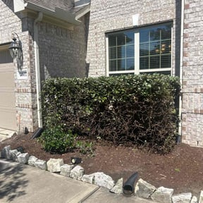 Bush Trimming by Paz Lawn Services reviewed on April 18, 2025