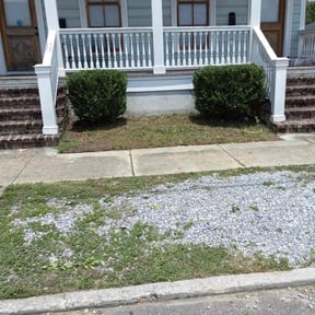 Bush Trimming by Carter Lawn Service reviewed on June 20, 2022
