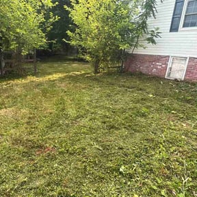 Leaf Removal by Ron's lawn care reviewed on July 27, 2022