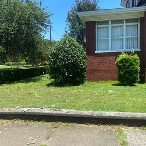 Bush Trimming by Tree to Table LLC reviewed on July 14, 2022