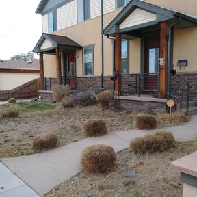 Bush Trimming by Annex Real Estate LLC reviewed on June 11, 2022