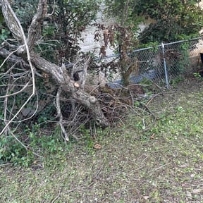 Leaf Removal by Black-out lawn reviewed on May 28, 2021