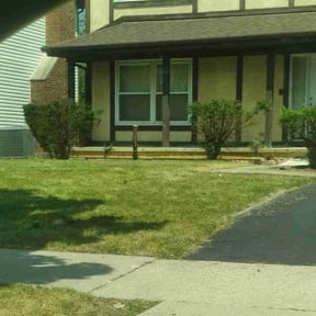 Bush Trimming by BLC reviewed on May 19, 2022