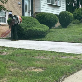 Bush Trimming by Artavius Clark reviewed on November 23, 2022