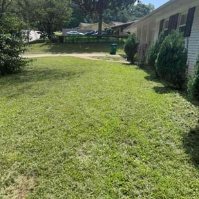 Bush Trimming by Loyalty landscaping LLC reviewed on August 2, 2022