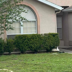 Bush Trimming by Clean Cut Lawn Service reviewed on July 19, 2022