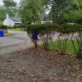 Bush Trimming by Daddy's home and lawn services reviewed on May 10, 2022