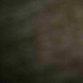 Bush Trimming by Greg&#039;s gardens reviewed on May 27, 2025