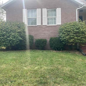 Bush Trimming by Grass Masters reviewed on June 28, 2022
