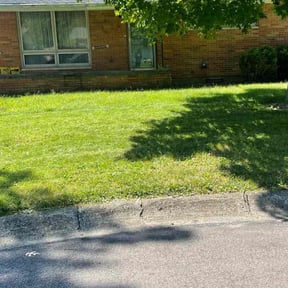 Bush Trimming by Dominic&#039;s Lawncare LLC reviewed on July 11, 2025