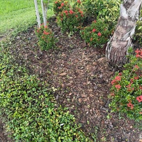 Flower Bed Weeding by John's Lawn Maintenance reviewed on October 11, 2022