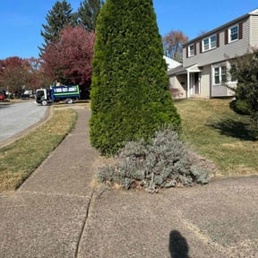 Bush Trimming by Clark and son lawn care reviewed on May 2, 2022