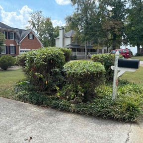 Bush Trimming by Grant Home and Lawn reviewed on March 15, 2022