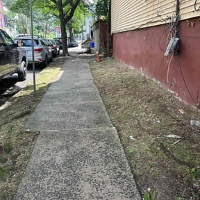 Cleanups by Lawn Hub reviewed on April 21, 2022