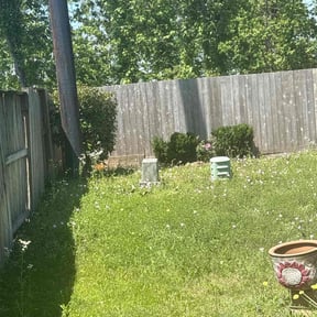 Bush Trimming by Greenview Lawn Solutions llc reviewed on May 31, 2022