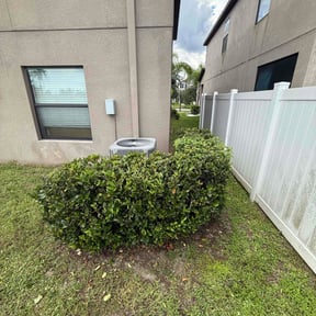 Bush Trimming by Katos lawn service reviewed on July 19, 2022