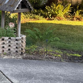Weeding by AllStar Landscaping reviewed on April 11, 2022