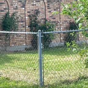 Weeding by LSLTDallas/FortWorthTruGreen reviewed on October 23, 2024