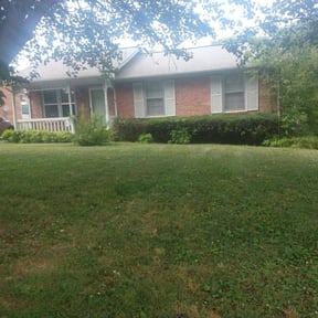 Bush Trimming by Peaks Property Maintenance reviewed on July 16, 2022