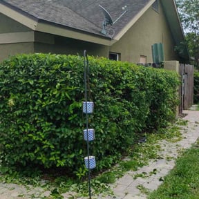 Bush Trimming by Campbell&#039;s lawns reviewed on August 27, 2024