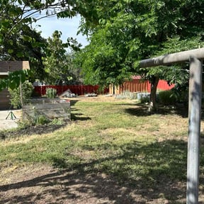 Bush Trimming by Prime property service llc reviewed on May 5, 2022
