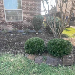 Bush Trimming by D's Lawn Care reviewed on July 14, 2022