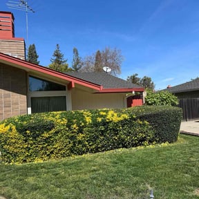 Bush Trimming by GG Landscaping reviewed on May 29, 2025