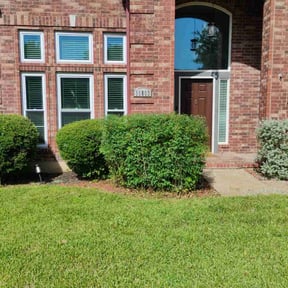 Bush Trimming by Fiechtner Landscape Services reviewed on September 10, 2020