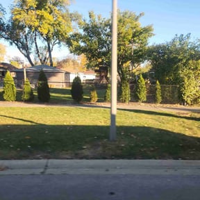 Bush Trimming by Brooks lawn Care reviewed on June 18, 2022