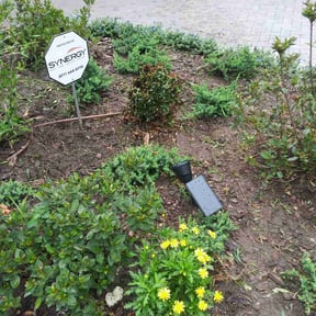 Flower Bed Weeding by Hampton's Landscaping LLC reviewed on May 4, 2025