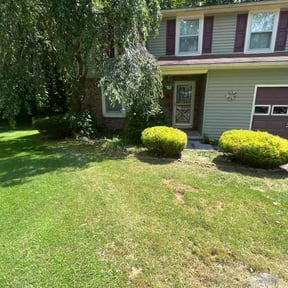 Bush Trimming by Better Days reviewed on March 27, 2025