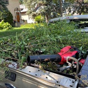 Cleanups by Lead the Way Lawncare LLC reviewed on June 12, 2022