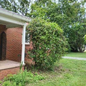 Bush Trimming by Drumgo Landscaping reviewed on May 14, 2025