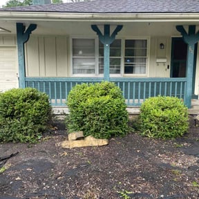 Bush Trimming by Black horse reviewed on August 8, 2025