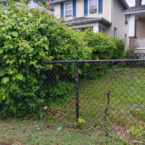 Bush Trimming by HTS Landscapes reviewed on June 2, 2022