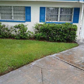 Bush Trimming by Bigfoot Landscape Group . Com reviewed on June 23, 2022