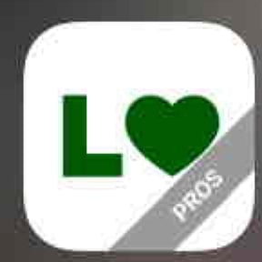 Bush Trimming by On Time Handyman Full Service reviewed on October 22, 2024