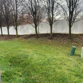 Leaf Removal by DTE Maintenance Llc reviewed on August 9, 2024