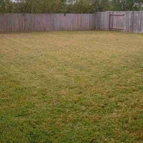Cleanups by K.M.W. Lawn Services & Logistics LLC reviewed on February 25, 2025
