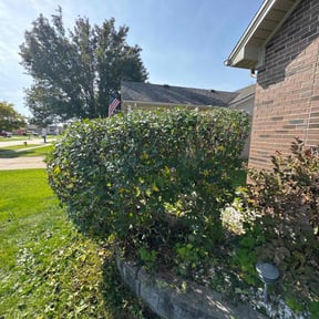 Bush Trimming by Turner Lawn Care and Landscaping, LLC reviewed on March 24, 2022