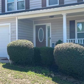 Bush Trimming by Palmetto Land Service reviewed on June 30, 2025