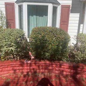 Bush Trimming by On Time landscaping reviewed on December 21, 2024