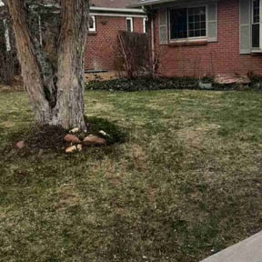Cleanups by J & Sons text to mow reviewed on May 25, 2022