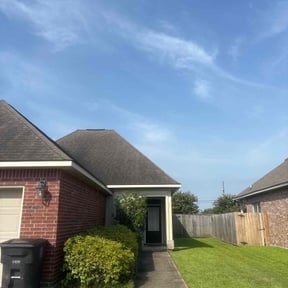 Bush Trimming by LSLTDallas/FortWorthTruGreen reviewed on July 5, 2023
