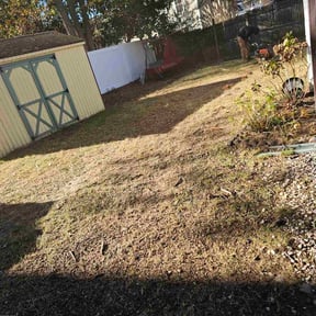 Leaf Removal by Lana kindsfather reviewed on July 13, 2022